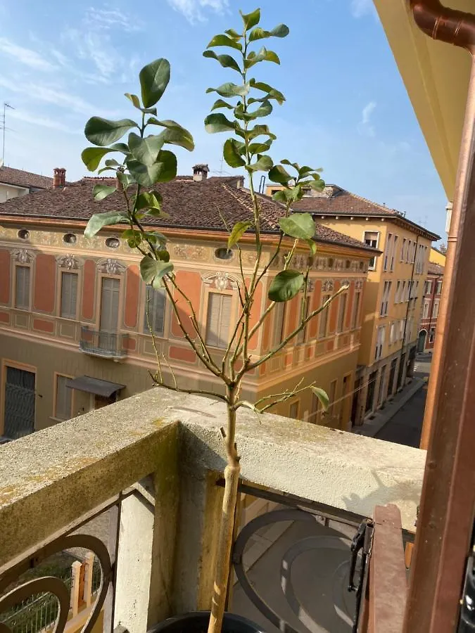 Loft Manzoni 37 Apartment Cremona 0*,  Italy